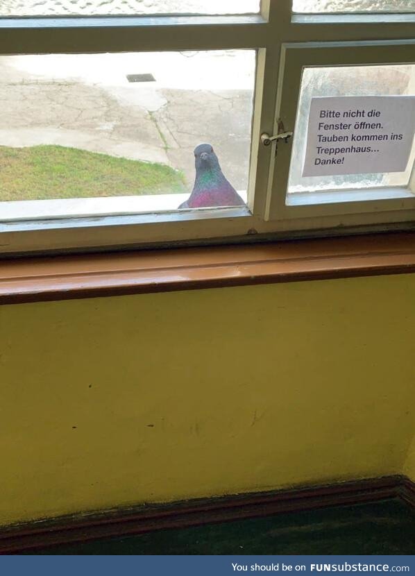 Open the window, I know you got some seeds in there