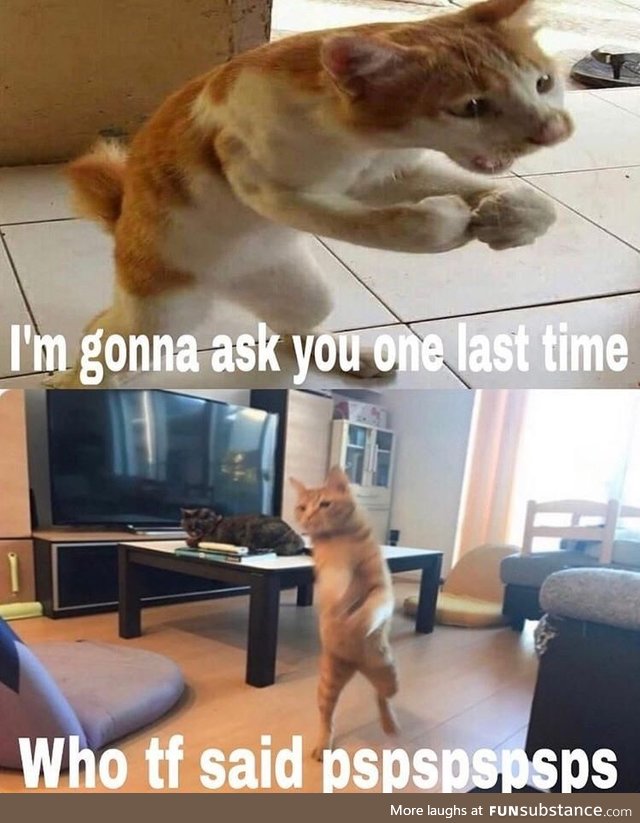 Why mess with such an alpha cat