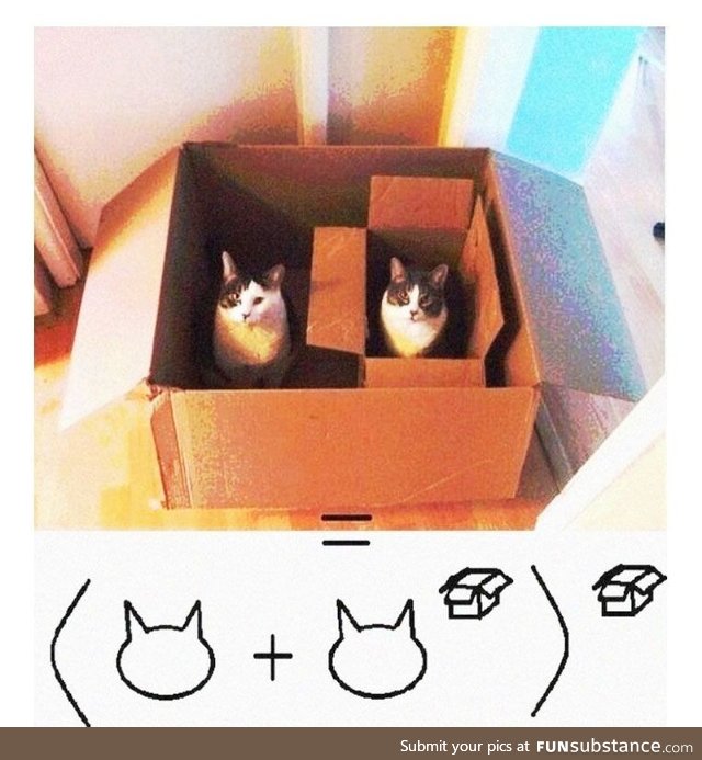 Cat maths