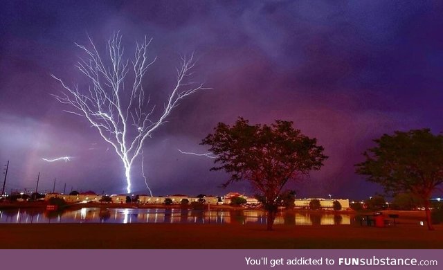 Tree lightning in Texas
