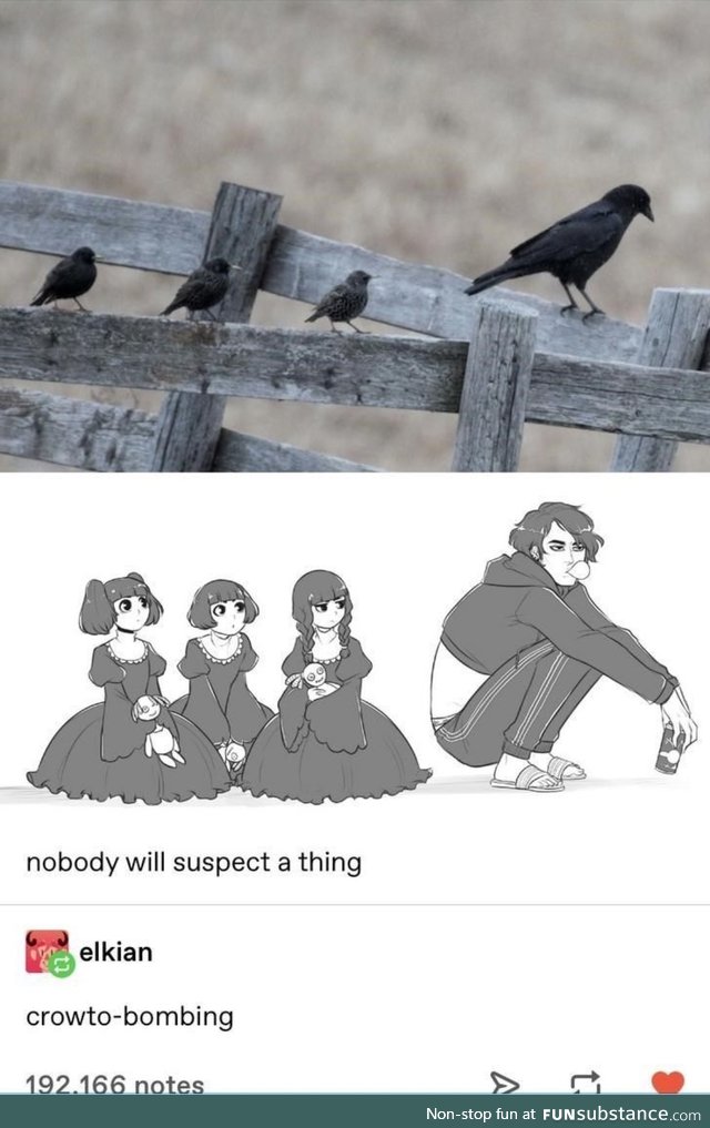 Gopnik crow