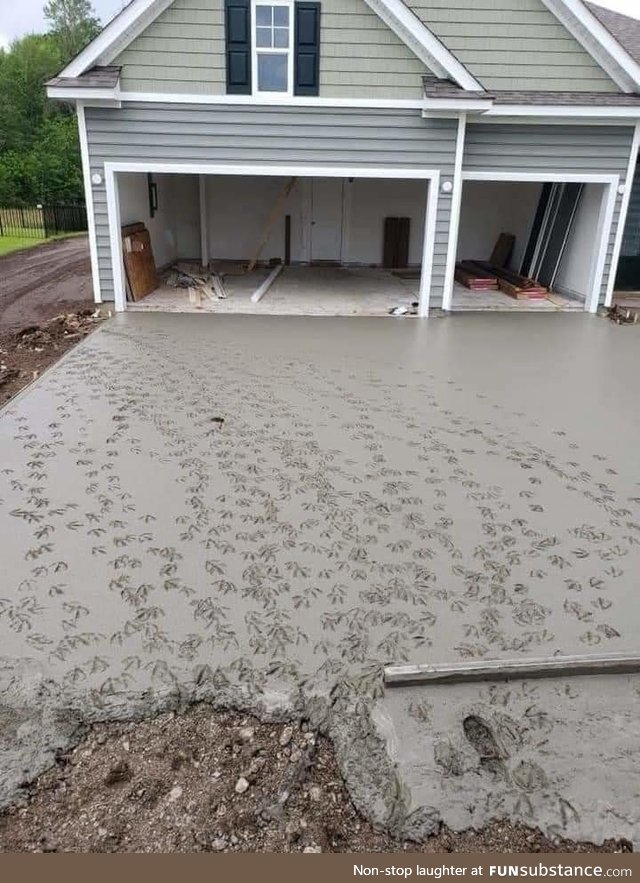 A driveway crew was pouring concrete at a new house next to a duck pond