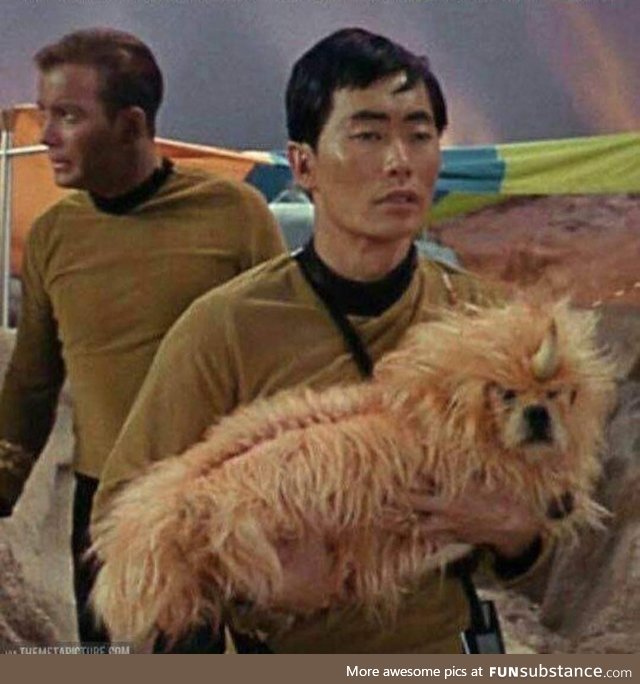 Let's not forget this doggo once passed off as an alien lol. Happy International dog's