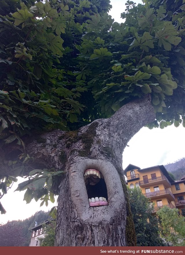 The Ents are not pleased