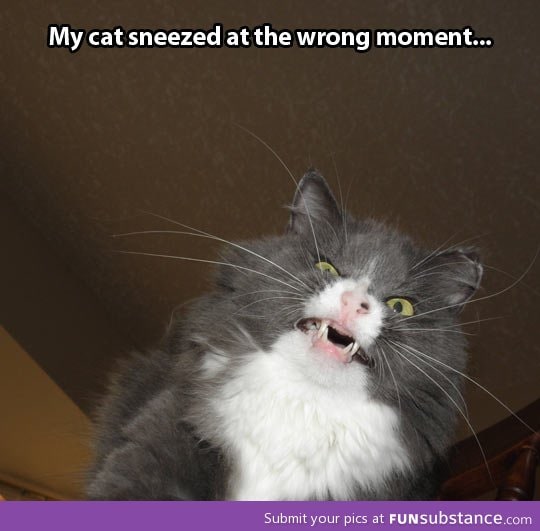 Sneezing face
