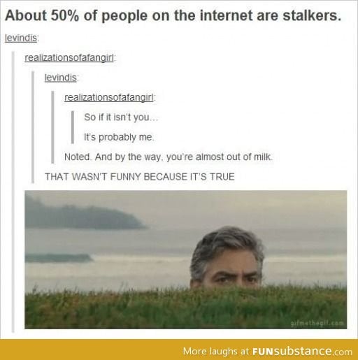 Internet Stalkers