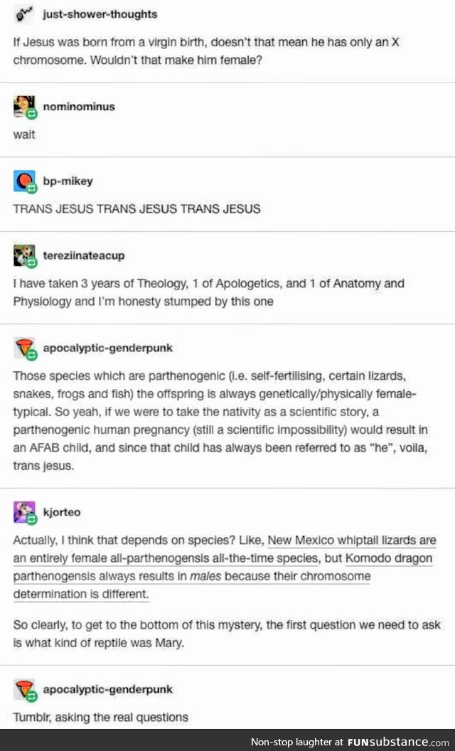 The reptile side of tumblr