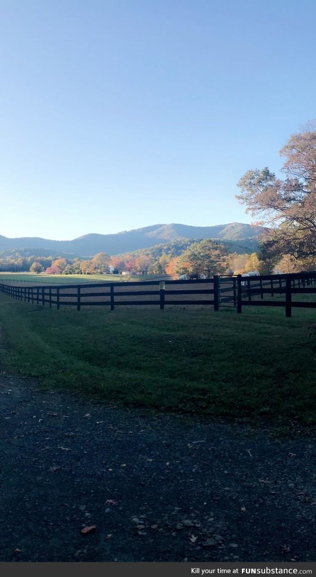 My driveway view - Virginia
