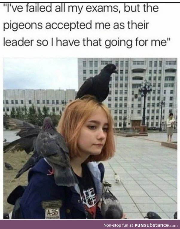 PigeonWizard