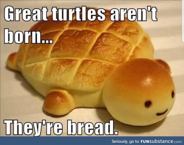 I am bread