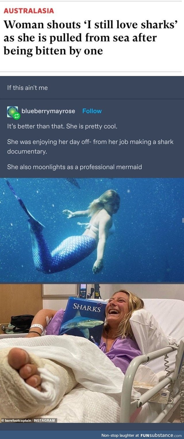 Sharks love you too, apparently