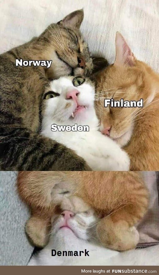 Scandinavian geography, explained by cats