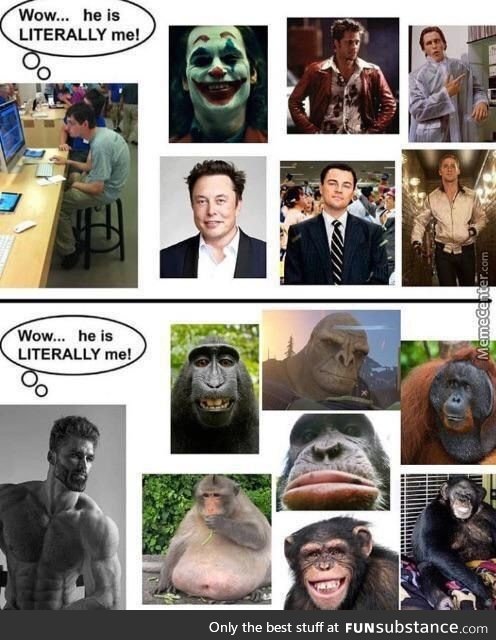 Monkey=chad