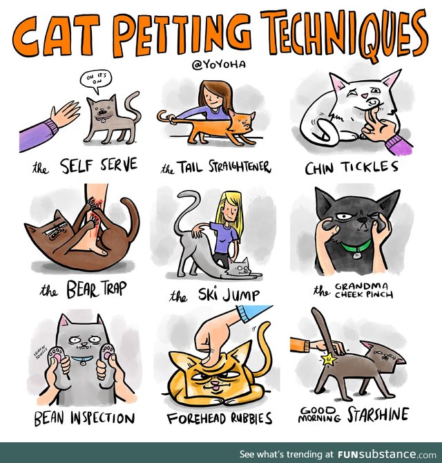 Cat petting techniques