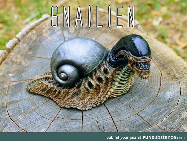 Snailien