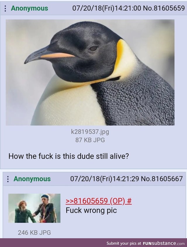 Anon posted the wrong image