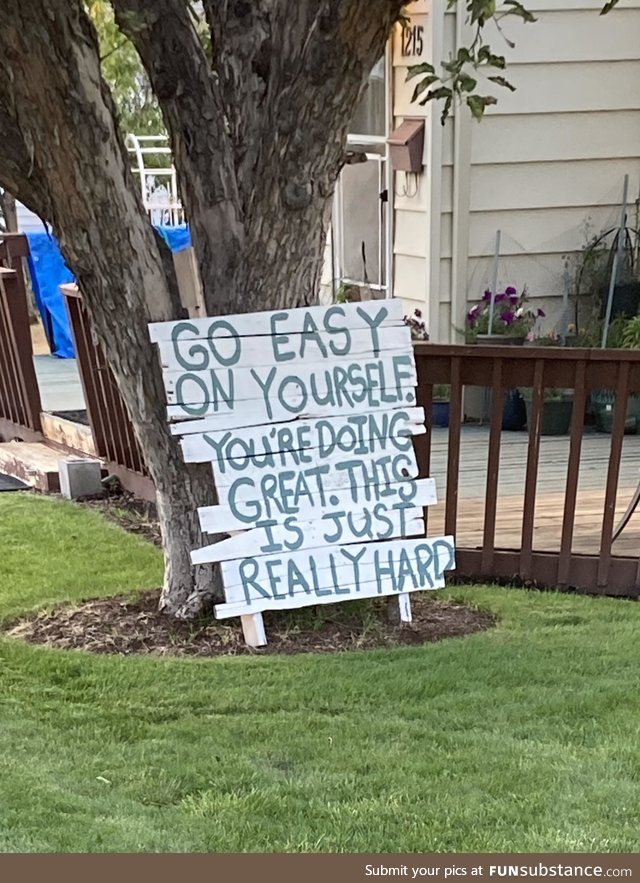 My neighbor has had this in her yard since April. Gives me the feels every time I walk by
