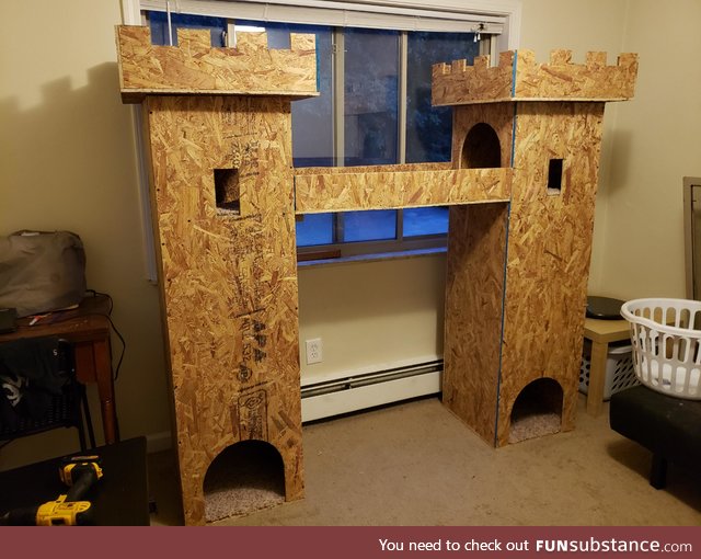 With all the bad news lately, I just wanted to post a picture of this cat castle my wife