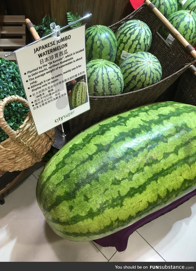70 kg Watermelonzilla
