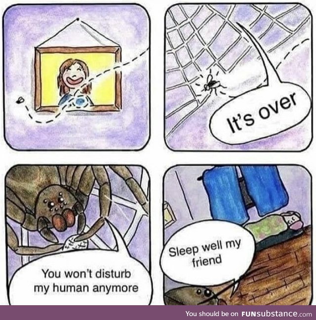 I love spiders &lt;3
