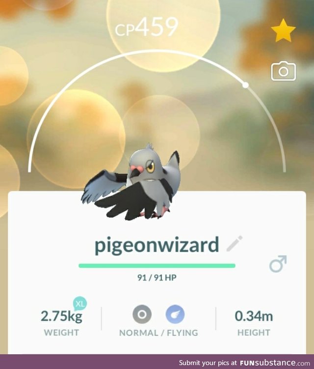 PoGo Project #20 - Pigeon Magic