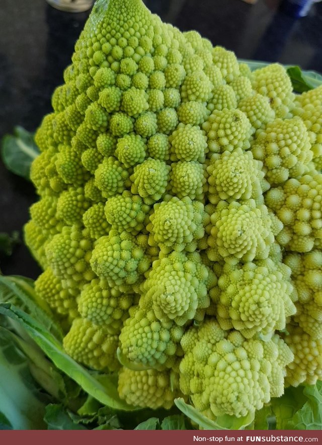 Romanesco Broccoli from my garden