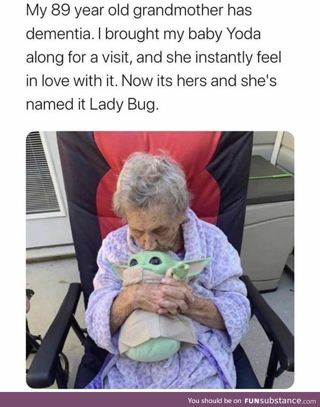 It’s called Lady Bug