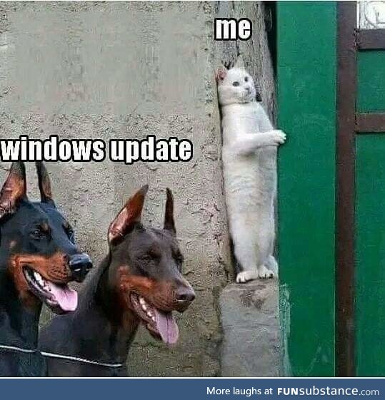 Are you afraid of windows updates?