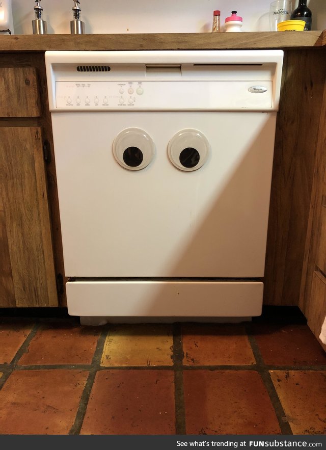 I added googly eyes to our dishwasher. He’s not sure about them : 