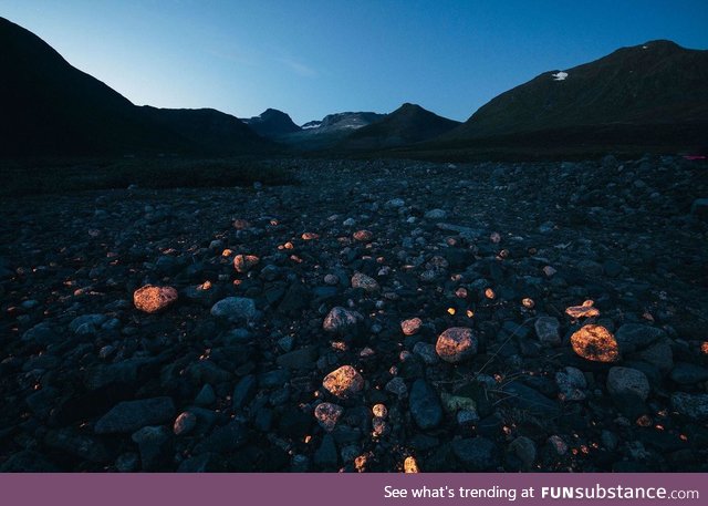 If you cast an ultraviolet flashlight on the hills around Narsaq, a coastal town in