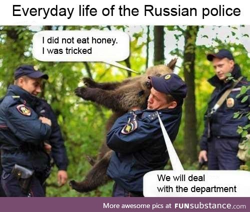 Everyday life of the Russian police