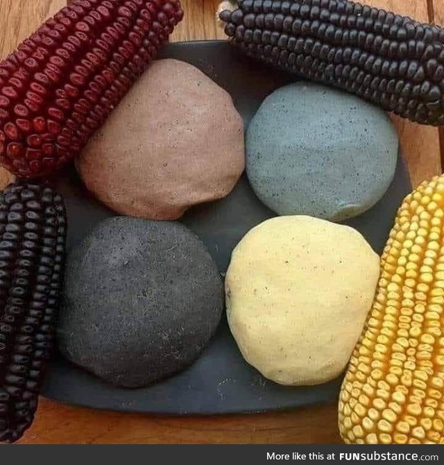 Different shades of native corn and its dough