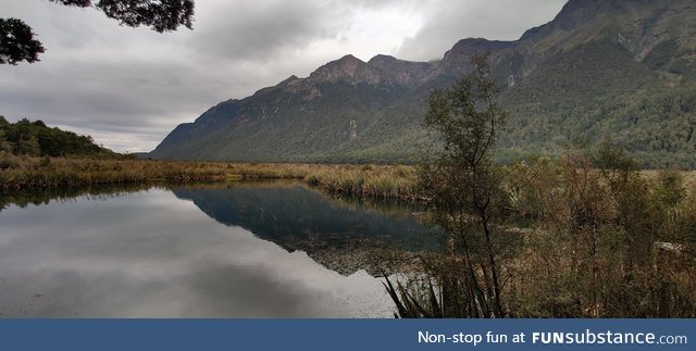 New Zealand is almost cheating. Mirror lake fiordland national park