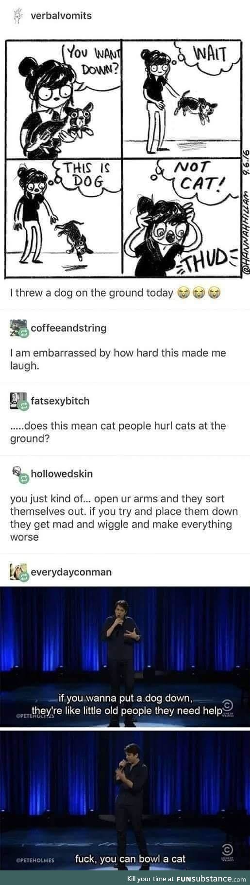 Bowling with cats