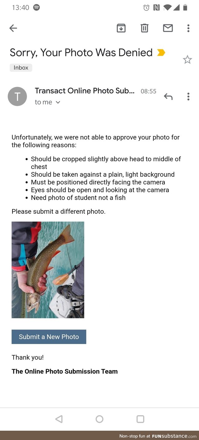 I submitted a picture of a brook trout for my trade school student id
