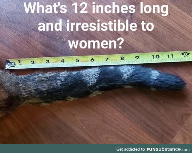 What's 12 inches long and irresistible to women?