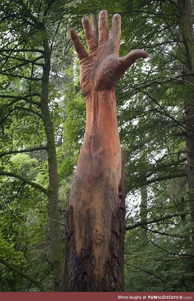 THE GIANT HAND OF VYRNWY