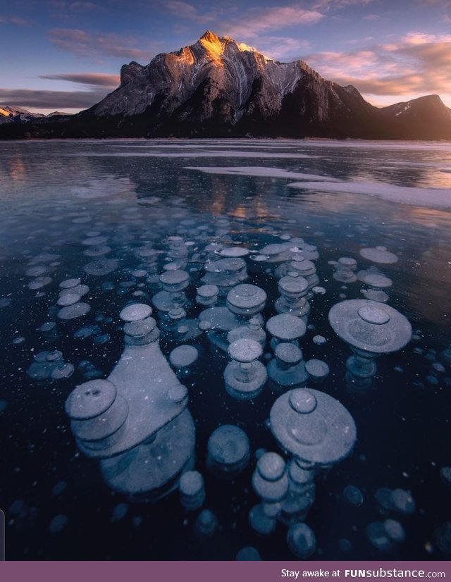Ice bubbles in Alberta