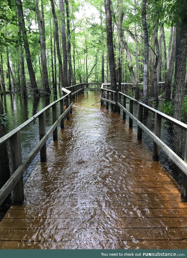 Moores Creek National Battlefield closed due to flooding