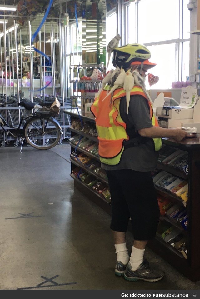 A nice lady who rode a bike to the dollar store with 6 c*ckatiels on her shoulders and 1