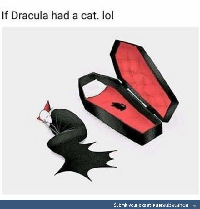 If Dracula had a cat