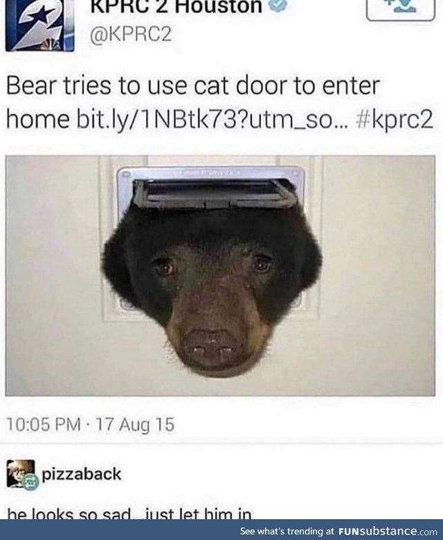 Let the right bear in
