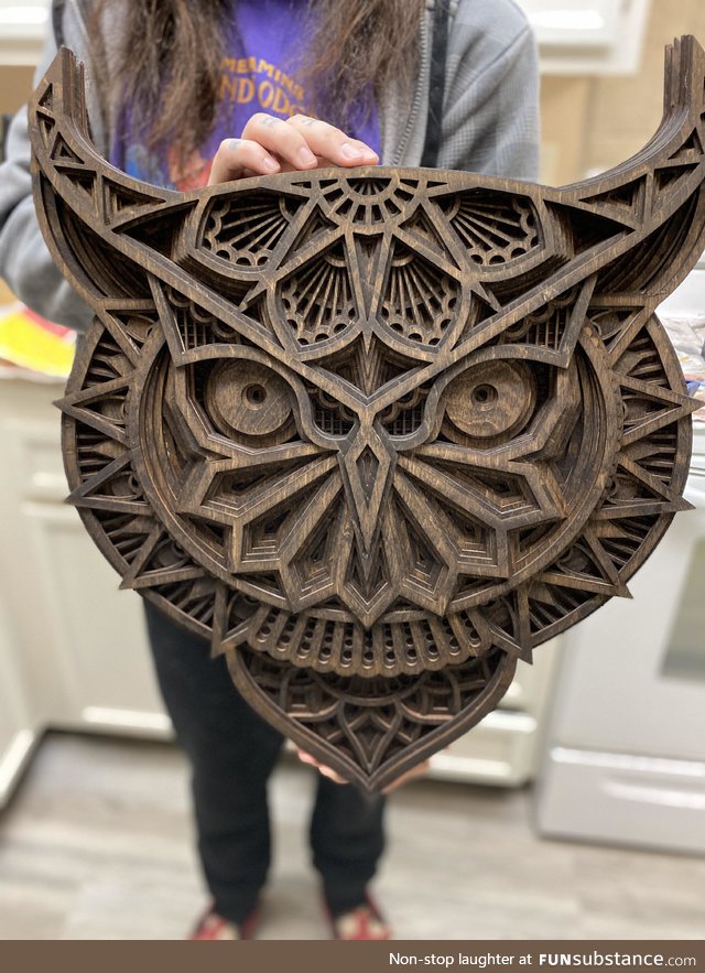 This 11 piece layered owl I made from birchwood is HUGE