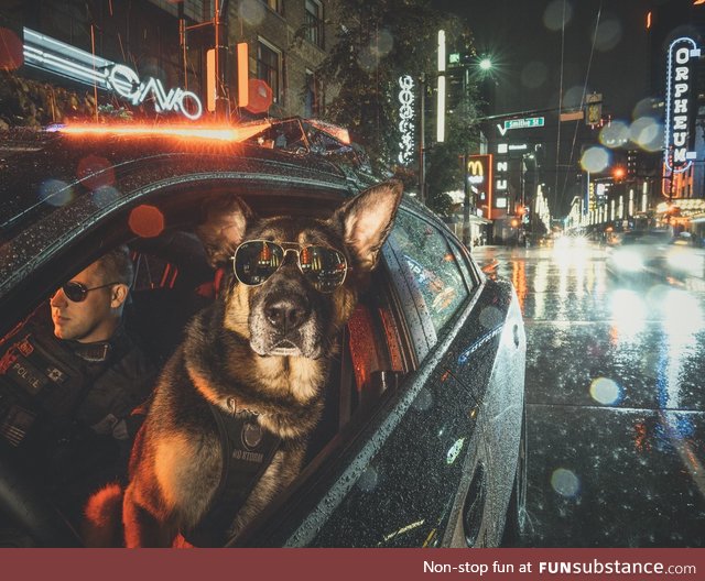 You will never look more badass than this K9 unit