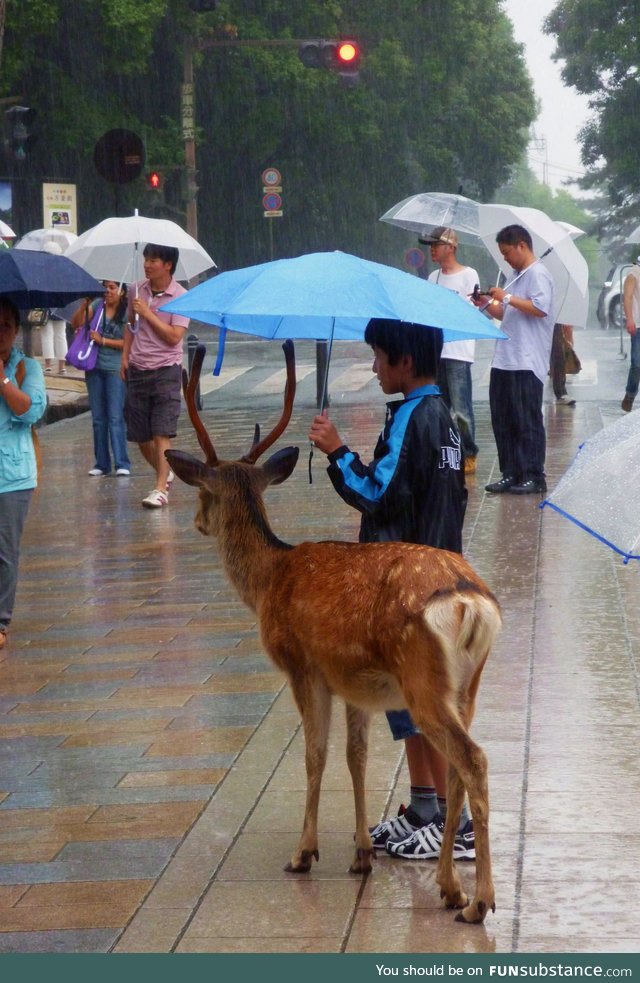 Share an umbrella with friends