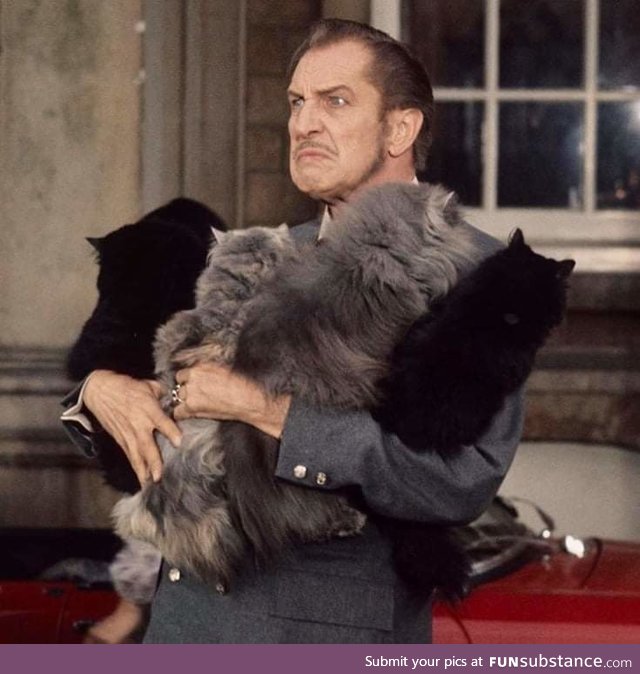Vincent Price aggressively holding cats. That is all.