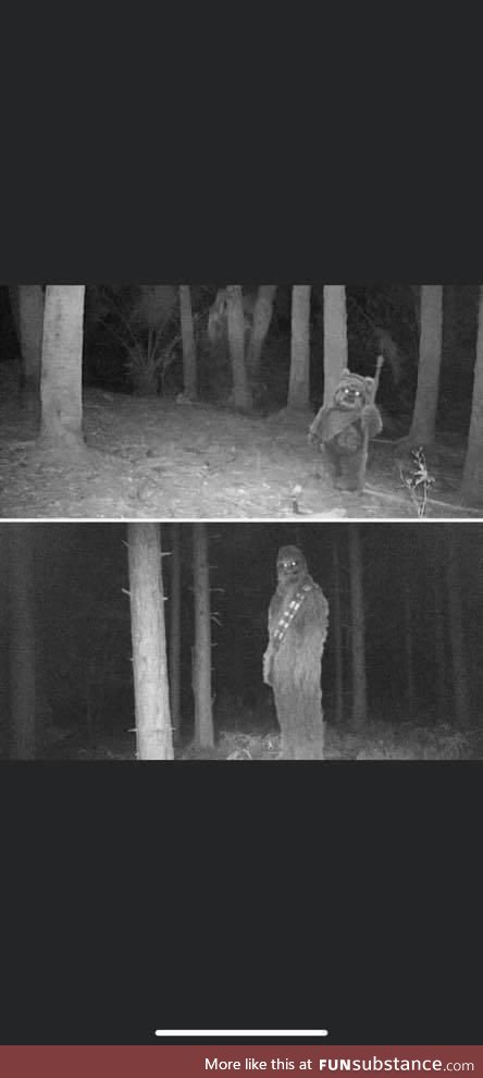 Messing with the neighbors trail camera