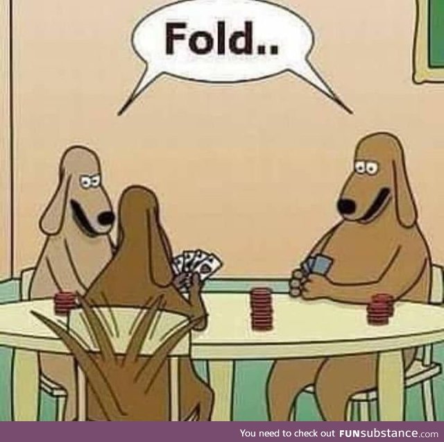 This is why dogs can't play poker