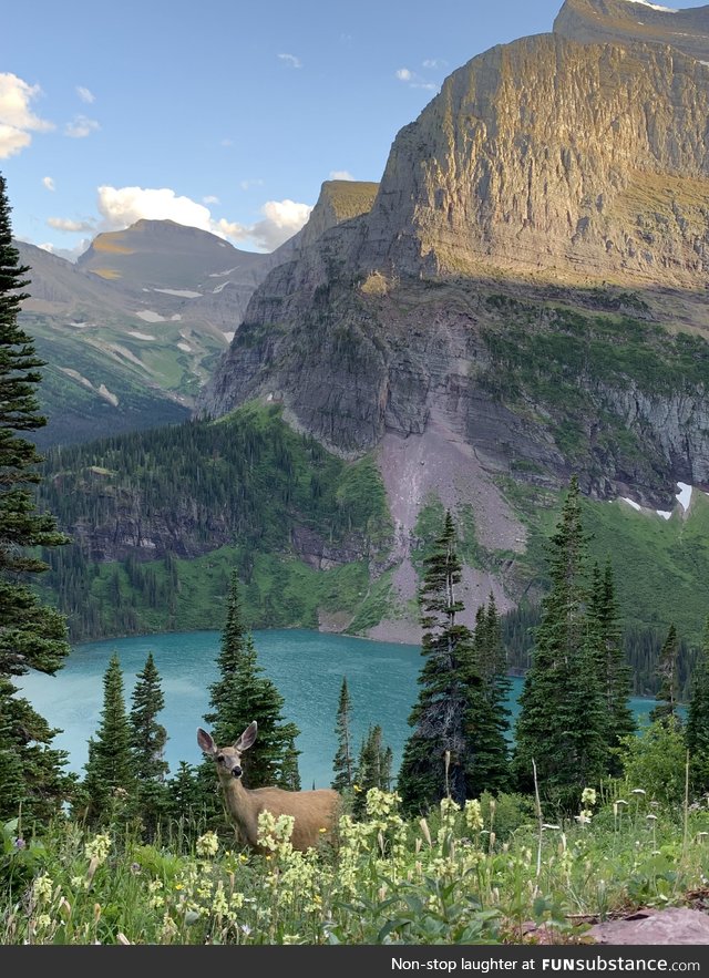 Glacier NP has to be the most unbelievable place in the states. This is a photo I took