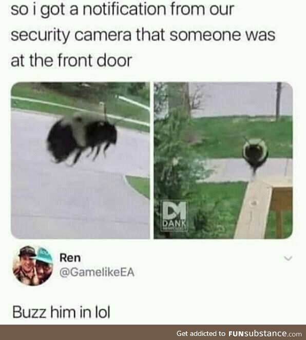 Buzz him in